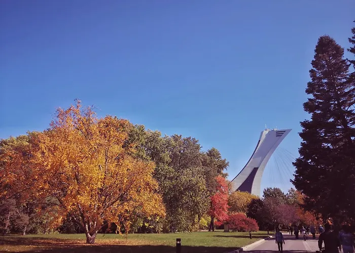 Homa Homestay By Olympic Stadium Montreal Auberge-Hostel