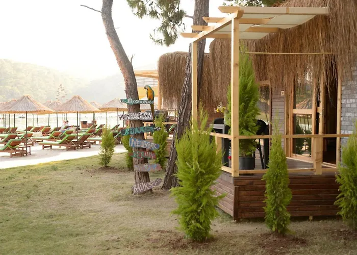 Green Pine Bungalows & Beach Luxury Concept