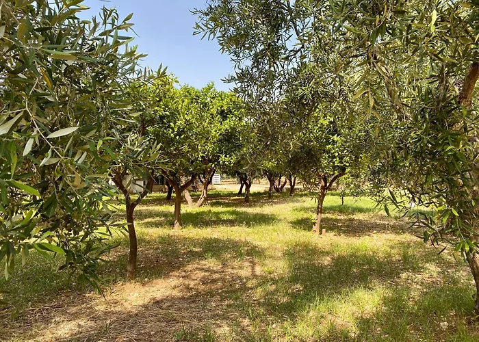  San Matteo