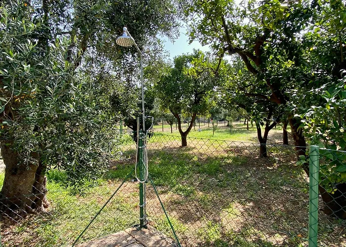  San Matteo
