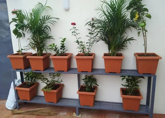 Togo villas Anjani Suta Home Stay