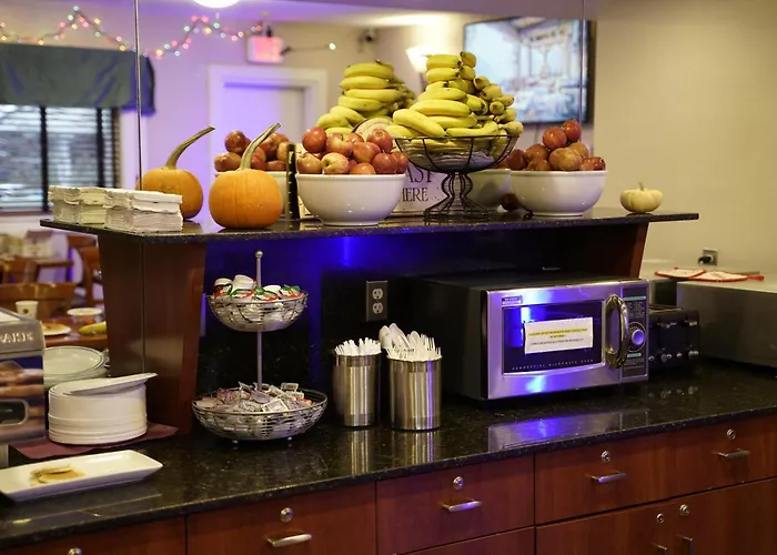 Pet Friendly hotel: Hotel Boston