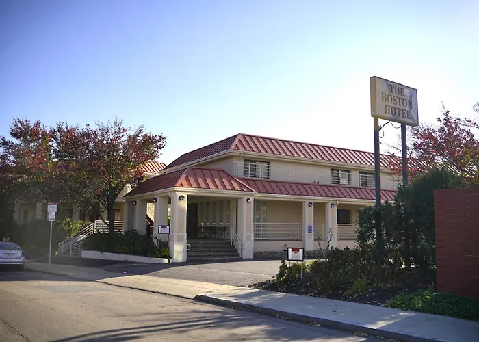 Pet Friendly hotel: Hotel Boston