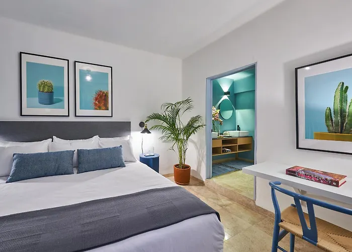 Perros hoteles AmazINN Places La Condesa Roma
