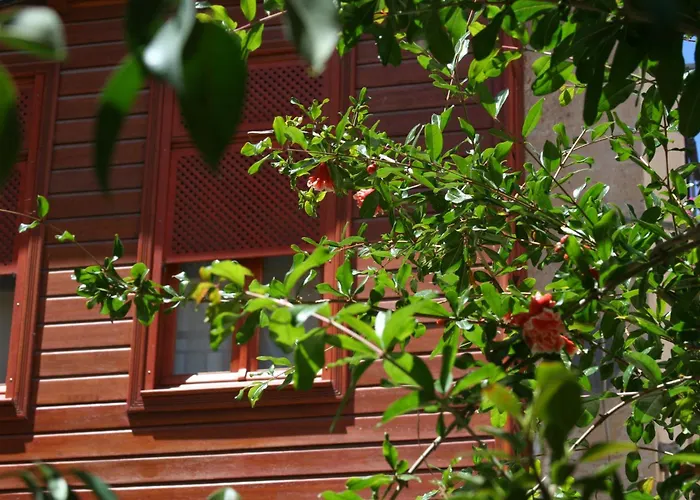 Cheap hotels Ionas Boutique
