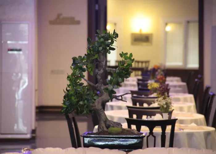 Susuzlu Seckin Hotel
