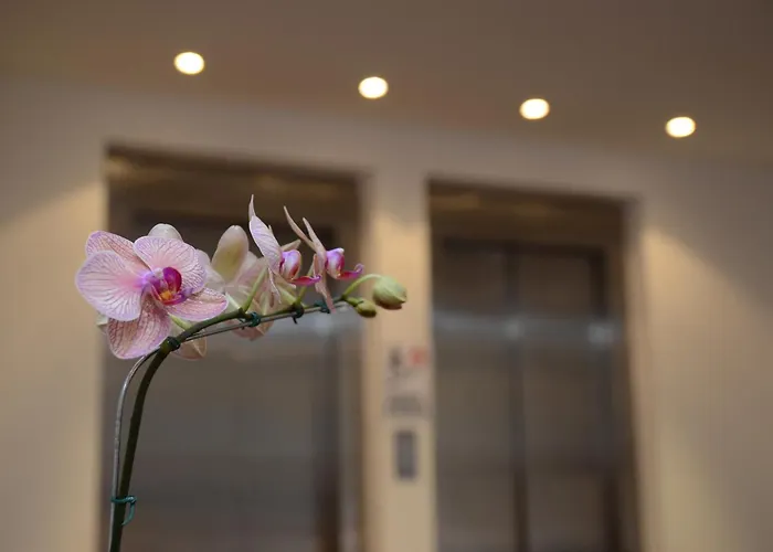 Grand Crucero Hotel
