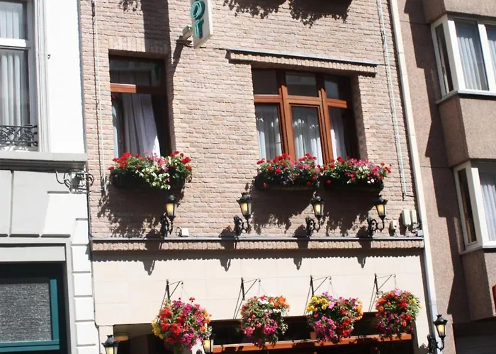 Gastenverblijf: Logies Ocelot