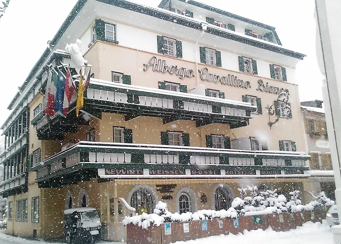 Hotel familiare: Hotel Cavallino Bianco - Weisses Roessl