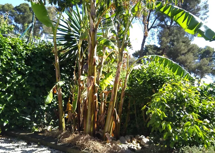 Villa Del Bosque