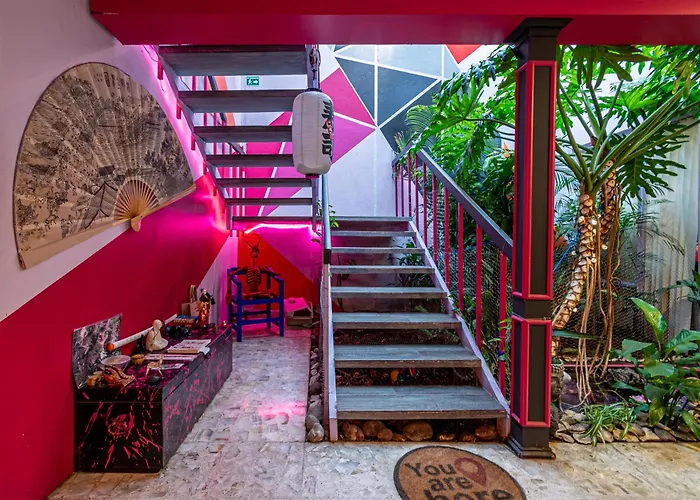 Welcome To... Casa Maguey.