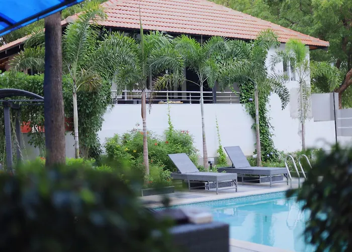 Ping Pong hotel: Button Eyes Resort - Pet Friendly