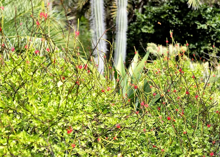 Hotels with a view Red Palm Village