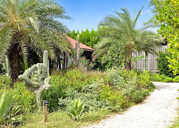 Hotels with a view Red Palm Village