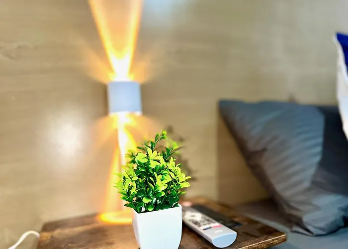 Hotel que admite mascotas: Fatima Coliving