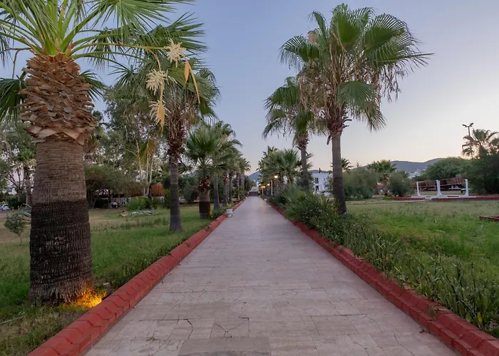 Ladonia s Del Mare (Adults Only)