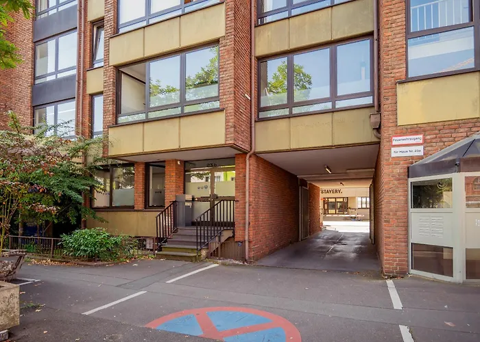 Stayery Cologne Suelz