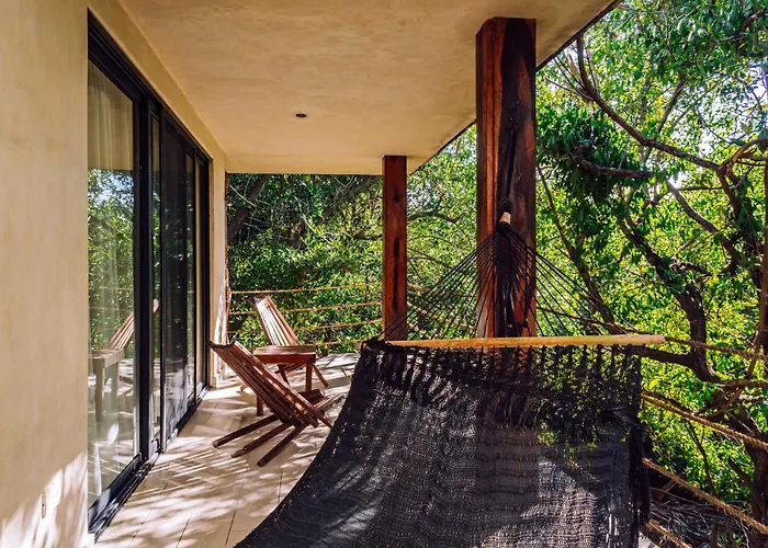Hotel barato: Sunset House