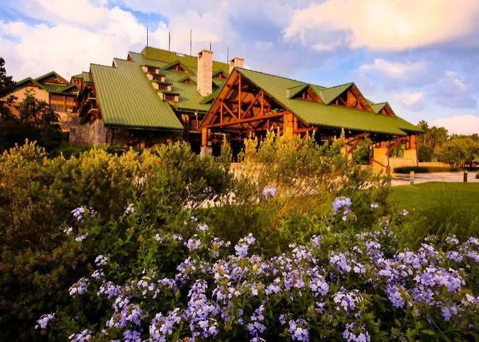 Luxury hotel only: Disney'S Wilderness Lodge