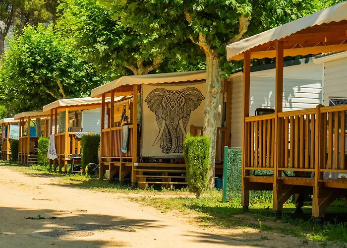 Camping Riembau