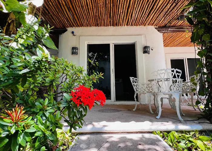 Hotel que admite mascotas: Mayan Art Hotel Boutique - 10Th Ave