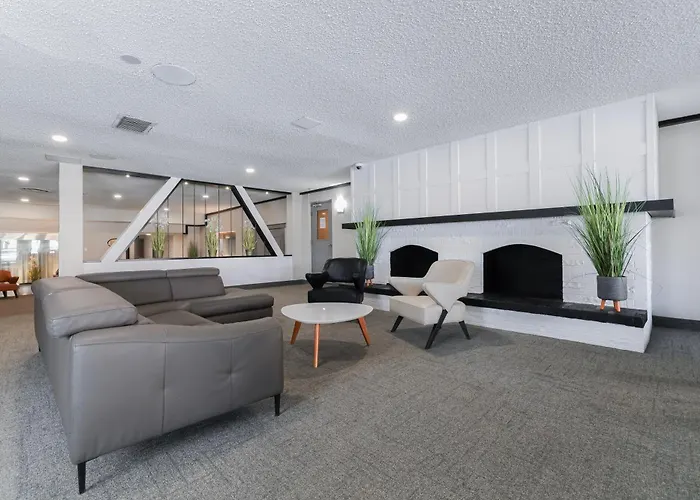 Hôtel accueillant les animaux: Hotel Universel