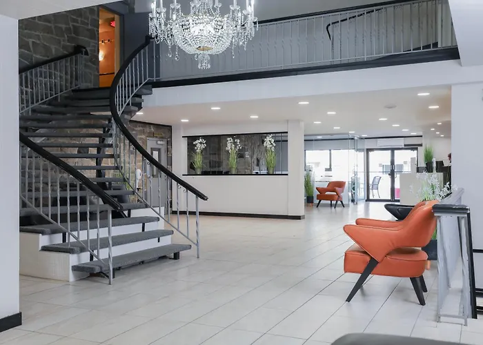 Hôtel accueillant les animaux: Hotel Universel