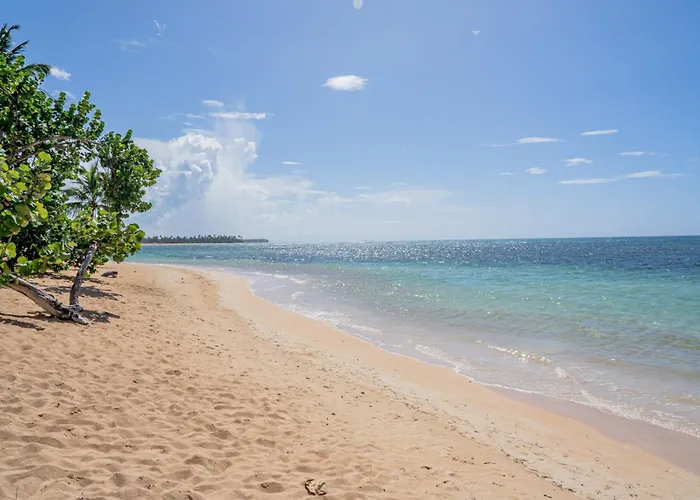 Family Hotel: Xeliter Balcones Del Atlantico - Las Terrenas