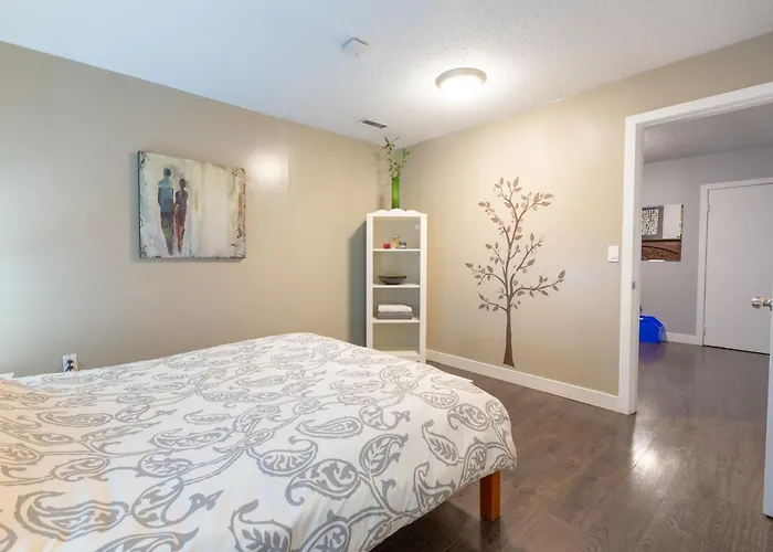 Pet Friendly hotel: Suite Sunrise