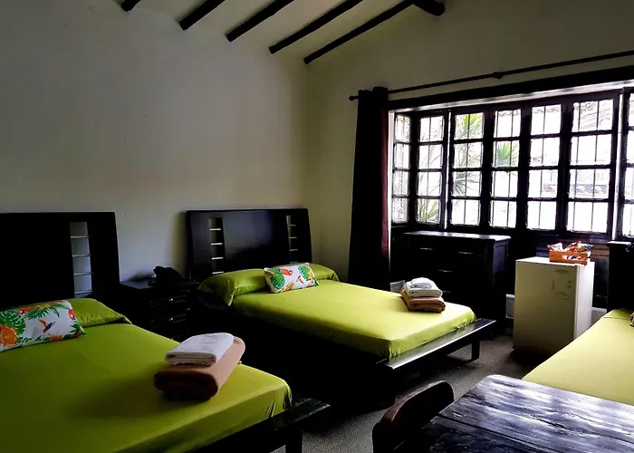 Hotel con piscina: Hotel Premium Real