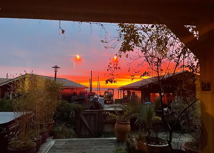 Hôtel accueillant les animaux: Village petit piquey - 2 chambres