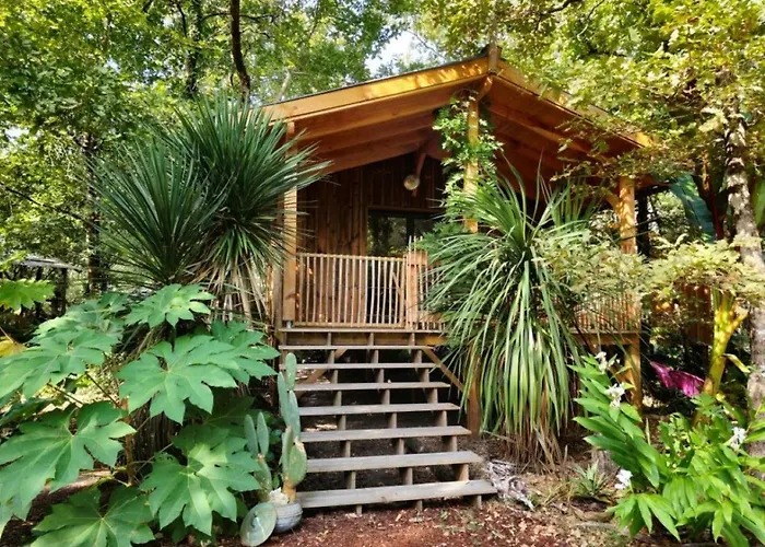 Camping: Camping Aux Couleurs du ferret