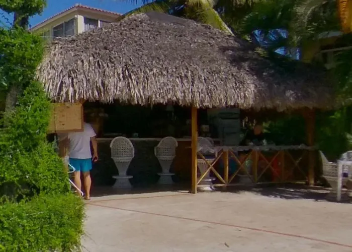 Palmeras By Graziano