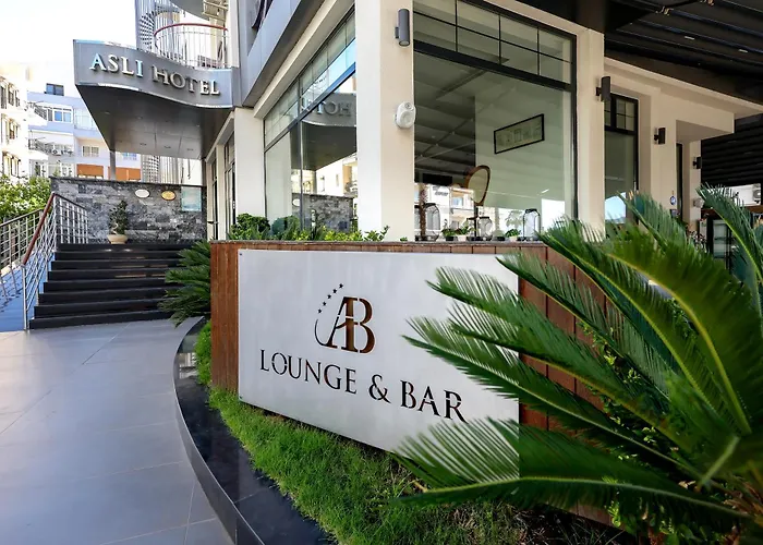 3 star hotels Asli