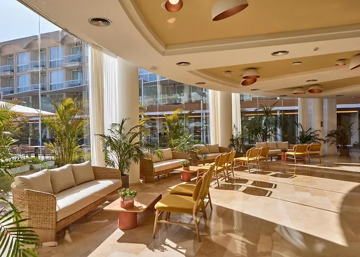 Hotel: Zafiro Alzinar Mar Adults Only - Refurbished 2025