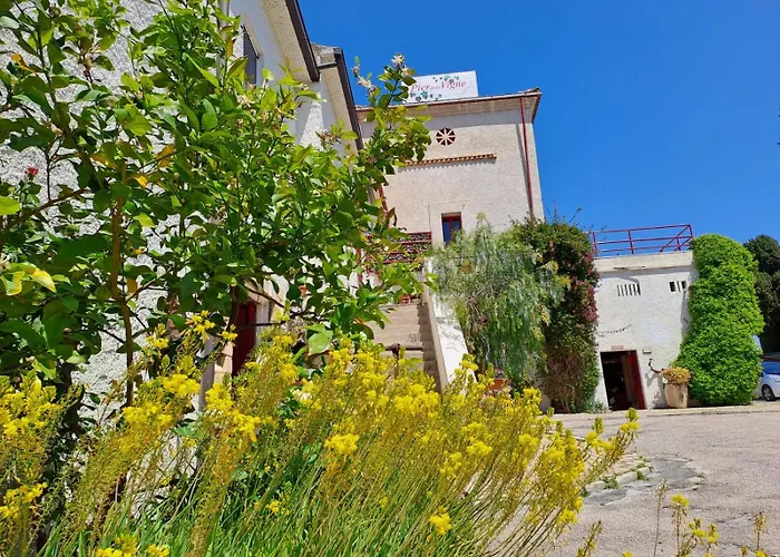 Pier Delle Vigne B&B