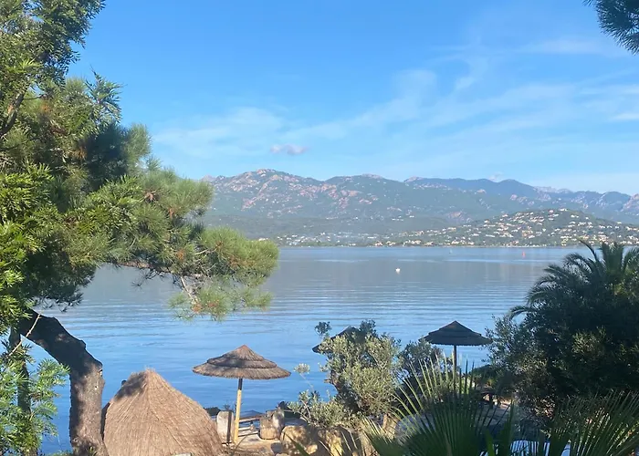 Hôtel accueillant les animaux: Maranatha, front de mer avec plage