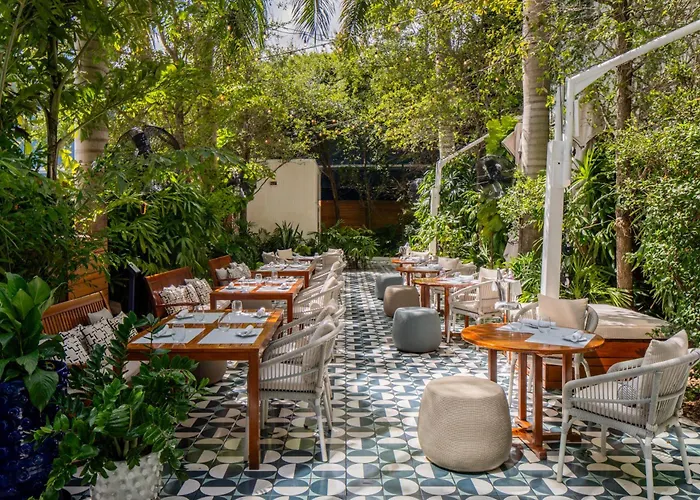 Dog friendly hotels Mr. C Miami - Coconut Grove