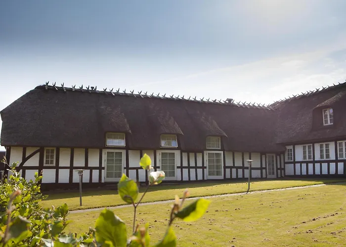 Helnan Marselis