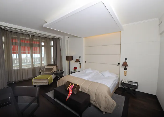 Hôtel accueillant les animaux: Lausanne Palace