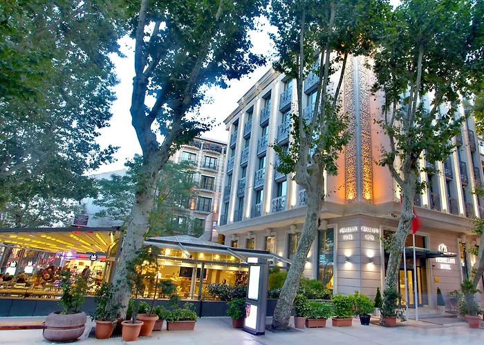 Hôtel accueillant les animaux: Ahc Ayasofya Hotel - Special Class