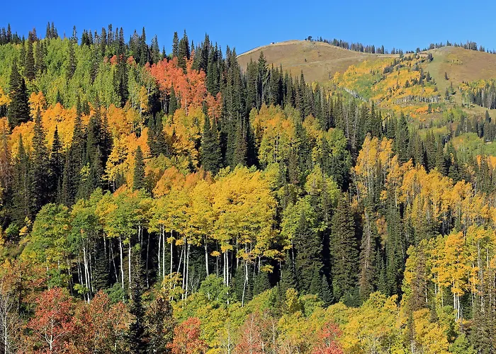 Raintree'S The Miners Club Park City