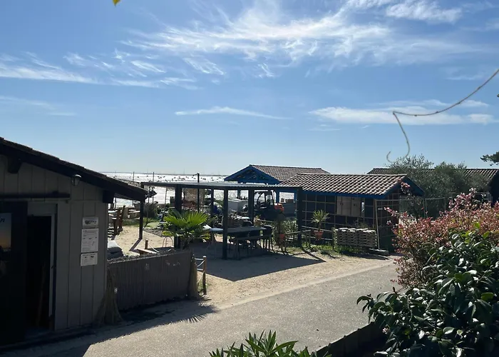 Hôtel accueillant les animaux: Village petit piquey - 2 chambres