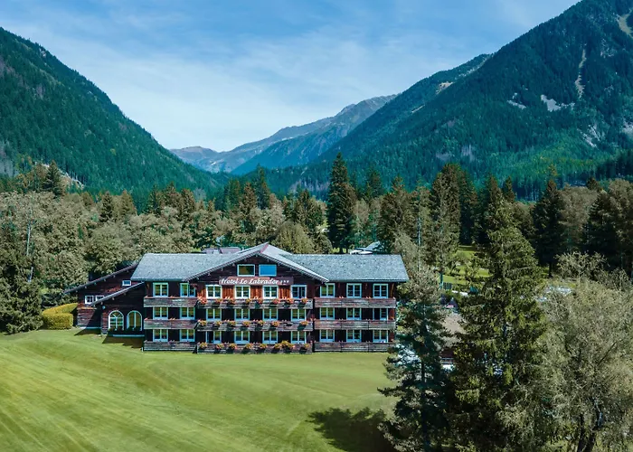 Hôtel accueillant les animaux: Hôtel Le Labrador