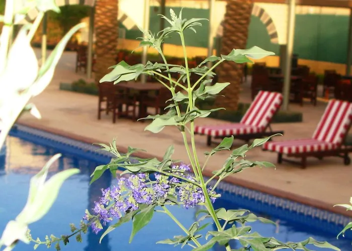 Spa Hotel: Holiday Inn Riyadh Izdihar By Ihg