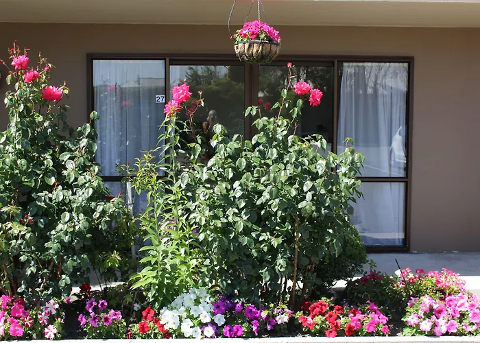 Hotel near College: Carnmore Hagley Park