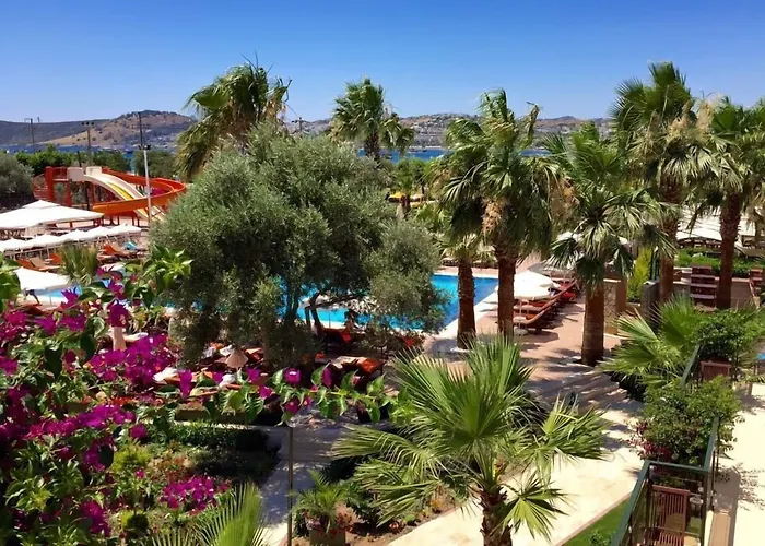 In Luxury hotels Anadolu Bodrum