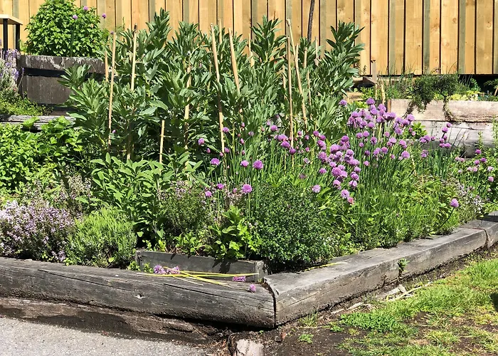 Blue Peaks Apartments