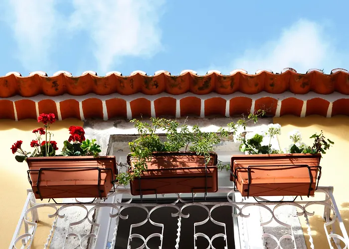 Alfama Yellow House