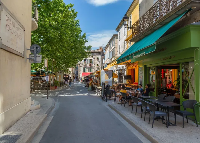 Animaux admis Le Relais De Poste Arles Centre Historique